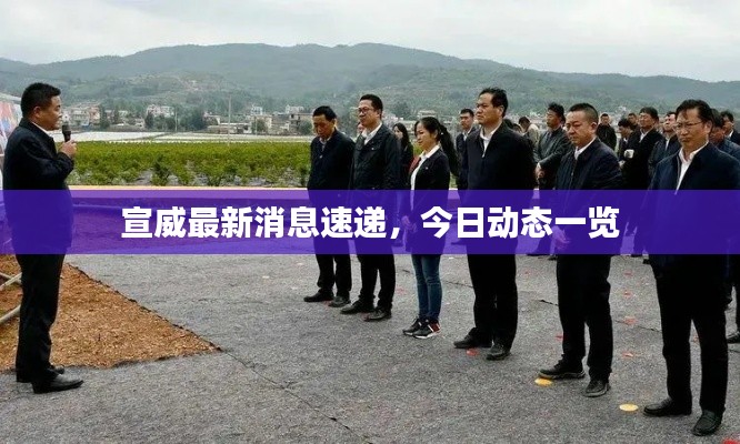 宣威最新消息速遞，今日動態(tài)一覽