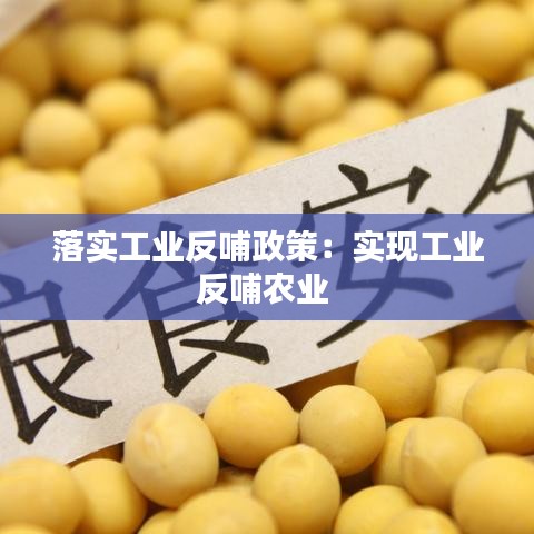 落實(shí)工業(yè)反哺政策：實(shí)現(xiàn)工業(yè)反哺農(nóng)業(yè) 