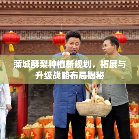 蒲城酥梨種植新規(guī)劃，拓展與升級戰(zhàn)略布局揭秘