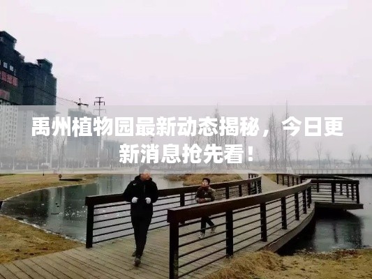禹州植物園最新動態(tài)揭秘，今日更新消息搶先看！