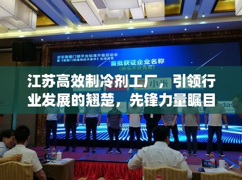 江蘇高效制冷劑工廠，引領(lǐng)行業(yè)發(fā)展的翹楚，先鋒力量矚目之選