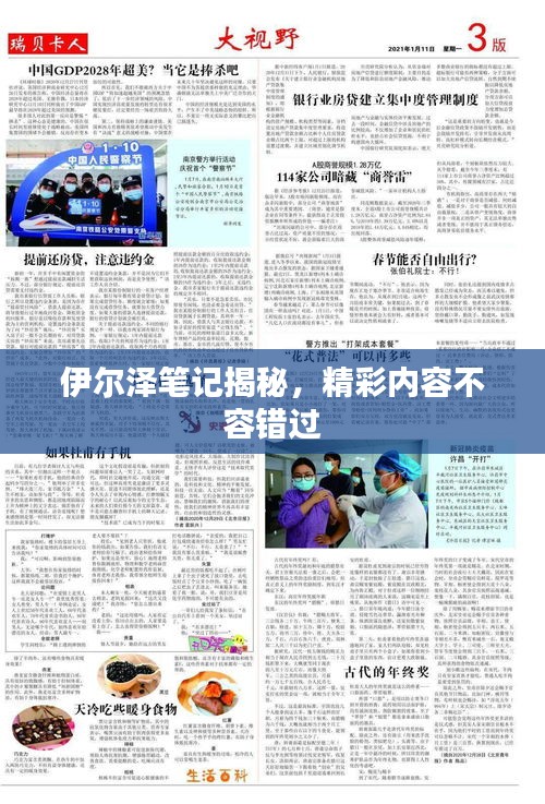 伊爾澤筆記揭秘，精彩內(nèi)容不容錯(cuò)過(guò)
