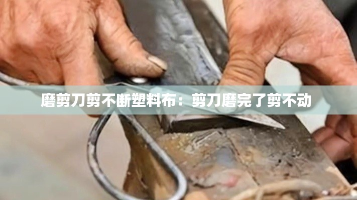 片口張舌 第2頁