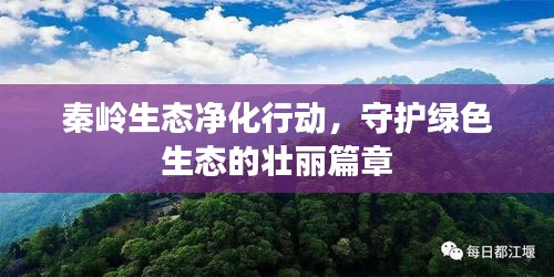 秦嶺生態(tài)凈化行動(dòng)，守護(hù)綠色生態(tài)的壯麗篇章