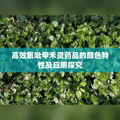 高效氟吡甲禾靈藥品的顏色特性及應用探究