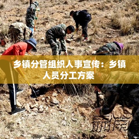 鄉鎮分管組織人事宣傳：鄉鎮人員分工方案 