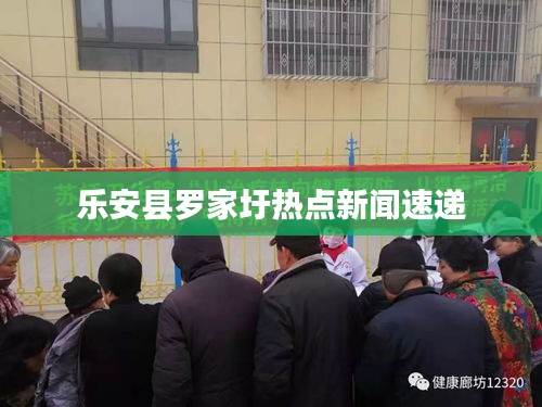 樂安縣羅家圩熱點新聞速遞