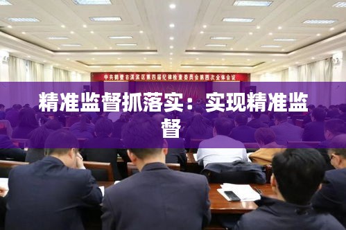 精準(zhǔn)監(jiān)督抓落實：實現(xiàn)精準(zhǔn)監(jiān)督 