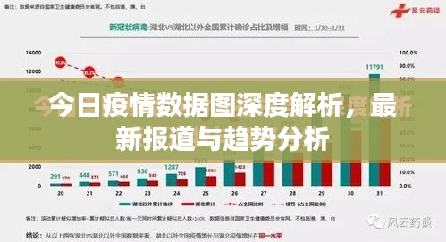 今日疫情數(shù)據(jù)圖深度解析，最新報(bào)道與趨勢分析