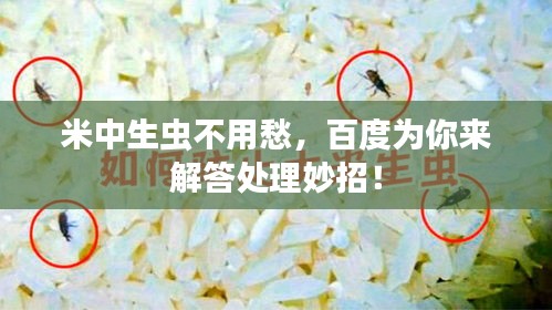米中生蟲不用愁，百度為你來解答處理妙招！