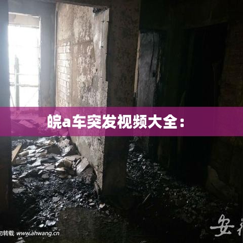 皖a車突發(fā)視頻大全： 
