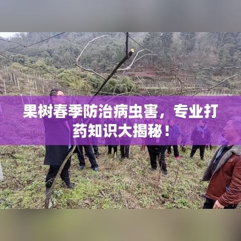 果樹春季防治病蟲害，專業(yè)打藥知識大揭秘！