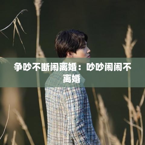 爭(zhēng)吵不斷鬧離婚：吵吵鬧鬧不離婚 