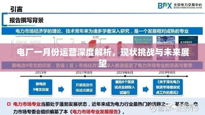 電廠一月份運營深度解析，現(xiàn)狀挑戰(zhàn)與未來展望