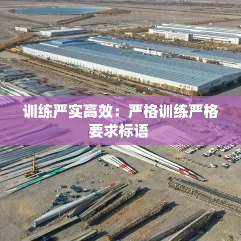 訓練嚴實高效：嚴格訓練嚴格要求標語 