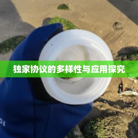 獨家協議的多樣性與應用探究