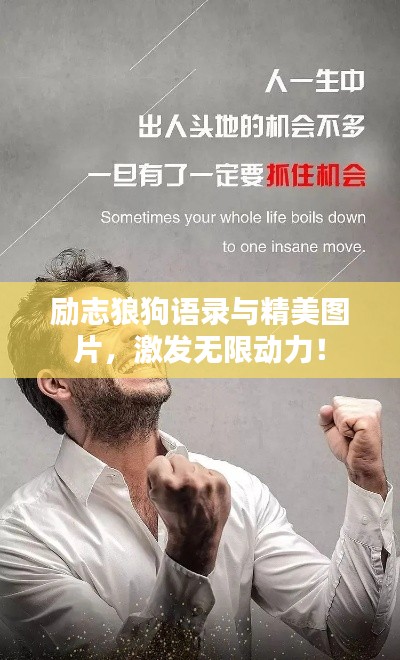 勵(lì)志狼狗語錄與精美圖片，激發(fā)無限動(dòng)力！