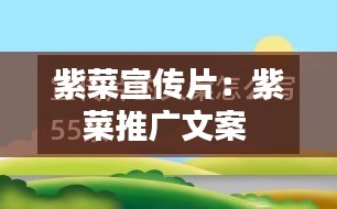 紫菜宣傳片：紫菜推廣文案 