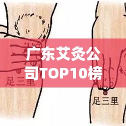 廣東艾灸公司TOP10榜單揭曉，權威排名，不容錯過！