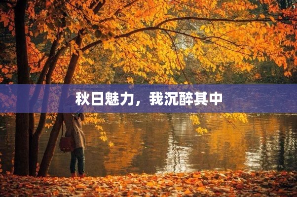 秋日魅力，我沉醉其中
