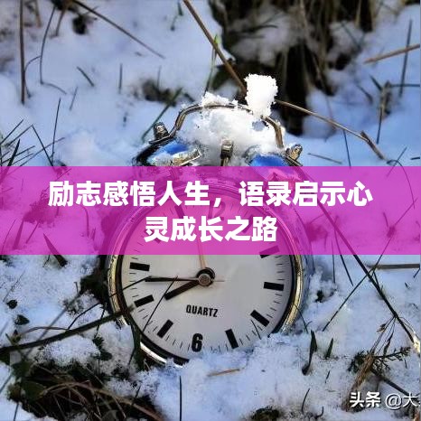 勵志感悟人生，語錄啟示心靈成長之路
