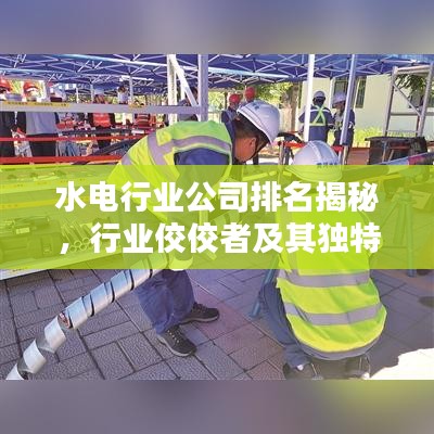 水電行業(yè)公司排名揭秘，行業(yè)佼佼者及其獨特風格盤點