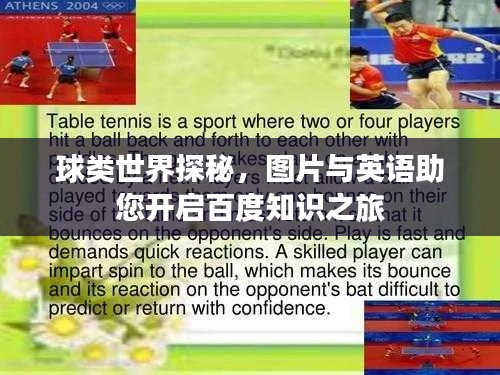球類世界探秘，圖片與英語助您開啟百度知識之旅