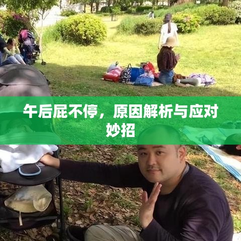 午后屁不停，原因解析與應對妙招