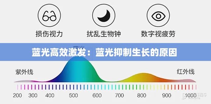 藍(lán)光高效激發(fā)：藍(lán)光抑制生長(zhǎng)的原因 