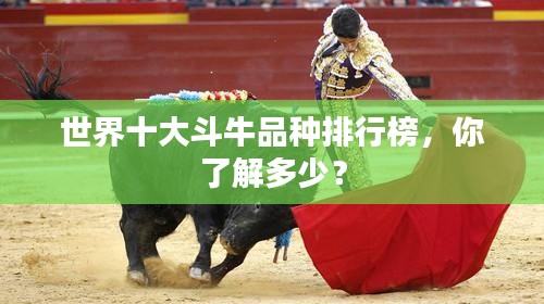 世界十大斗牛品種排行榜，你了解多少？