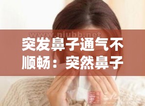 突發(fā)鼻子通氣不順暢：突然鼻子不透氣了 