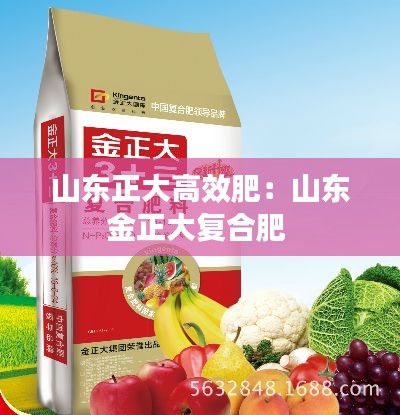 山東正大高效肥：山東金正大復合肥 
