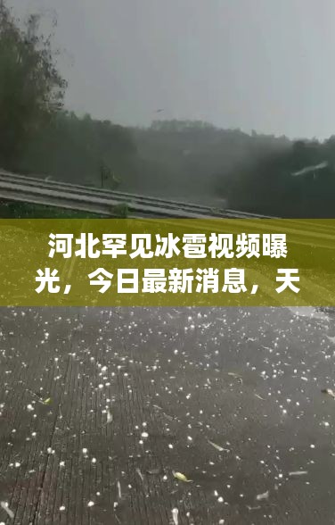 河北罕見冰雹視頻曝光，今日最新消息，天氣奇觀引發廣泛關注