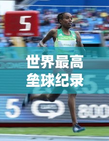 世界最高壘球紀(jì)錄榜單，刷新認(rèn)知的極限高度！
