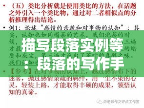 2025年2月3日 第5頁