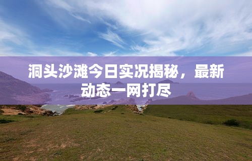 洞頭沙灘今日實況揭秘，最新動態一網打盡