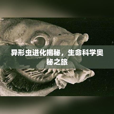 異形蟲進(jìn)化揭秘，生命科學(xué)奧秘之旅