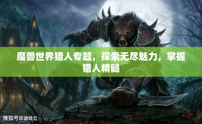 魔獸世界獵人專題，探索無(wú)盡魅力，掌握獵人精髓