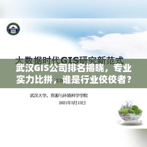 武漢GIS公司排名揭曉，專業(yè)實(shí)力比拼，誰是行業(yè)佼佼者？