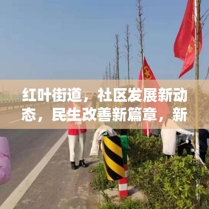 紅葉街道，社區發展新動態，民生改善新篇章，新聞頭條搶先看！