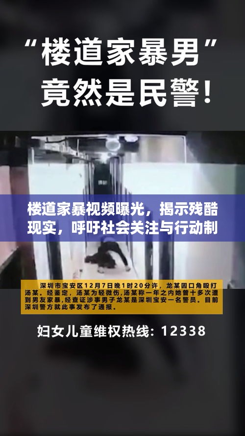 樓道家暴視頻曝光，揭示殘酷現實，呼吁社會關注與行動制止家暴