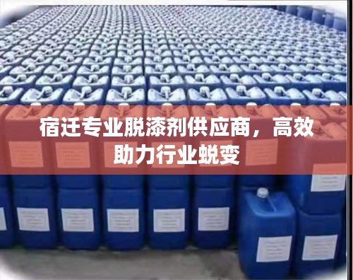 宿遷專業脫漆劑供應商，高效助力行業蛻變