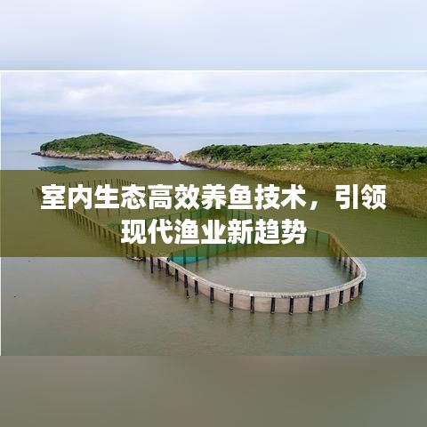 室內(nèi)生態(tài)高效養(yǎng)魚技術(shù)，引領(lǐng)現(xiàn)代漁業(yè)新趨勢