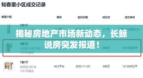 揭秘房地產(chǎn)市場新動態(tài)，長鯨說房突發(fā)報道！