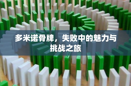 多米諾骨牌，失敗中的魅力與挑戰之旅