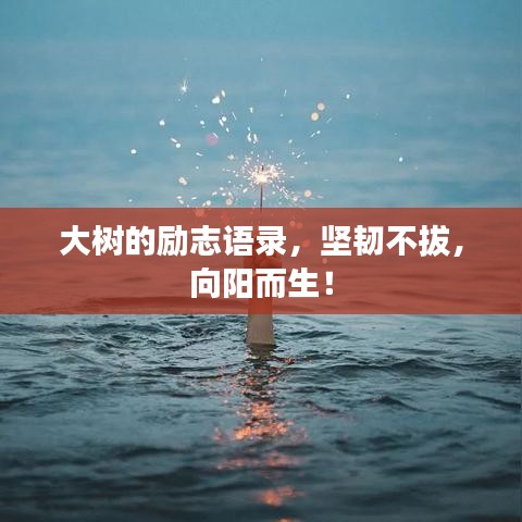 大樹的勵志語錄，堅韌不拔，向陽而生！