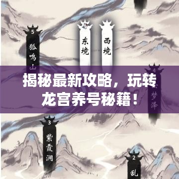 揭秘最新攻略，玩轉龍宮養號秘籍！