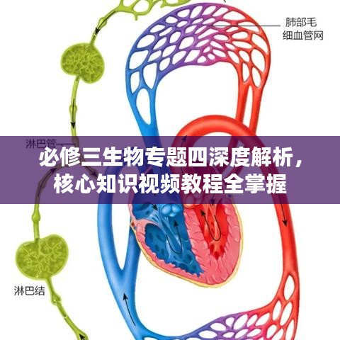 必修三生物專題四深度解析，核心知識視頻教程全掌握