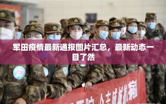 軍田疫情最新通報圖片匯總，最新動態一目了然