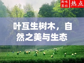 葉互生樹木，自然之美與生態和諧的獨特象征